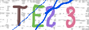 CAPTCHA Kép