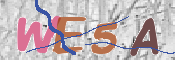 CAPTCHA Kép