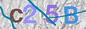 CAPTCHA Kép