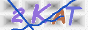 CAPTCHA Kép
