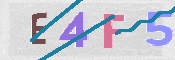 CAPTCHA Kép