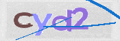 CAPTCHA Kép