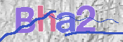 CAPTCHA Kép