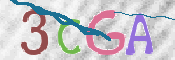 CAPTCHA Kép